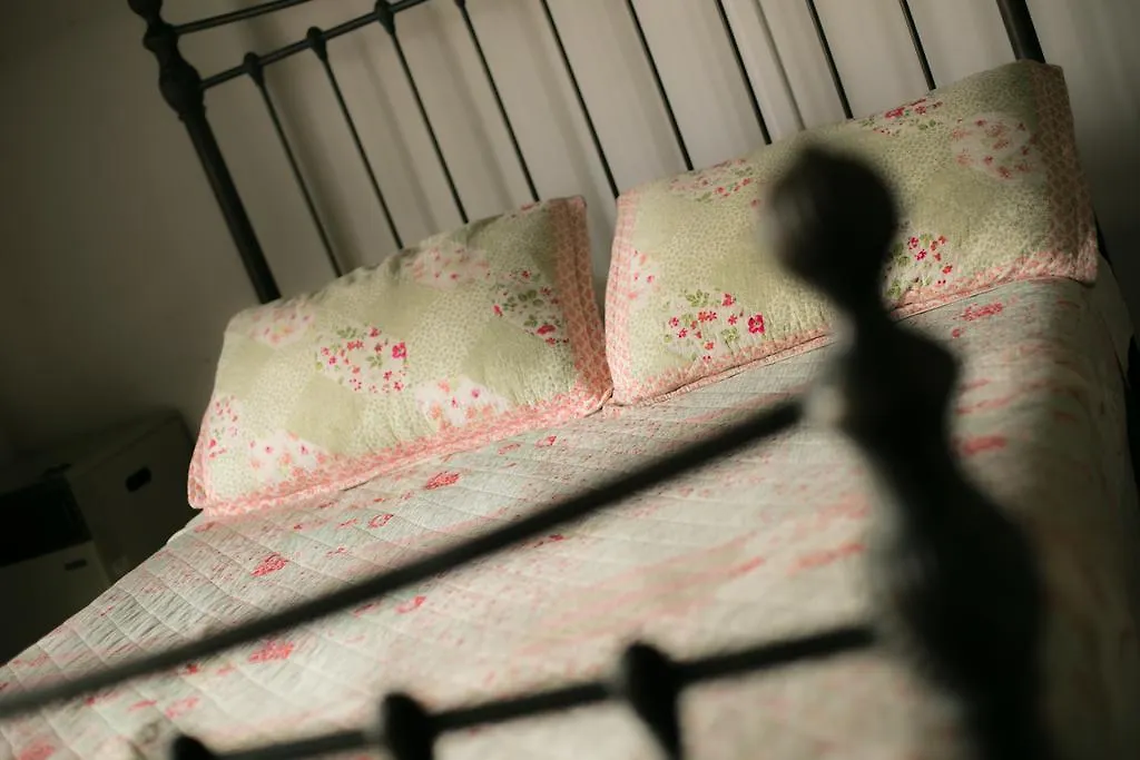 The Bellavista Hostel-1